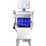 Vesta New Arrival 12 In 1 Hydro Oxygen Facial Microdermabrasion Aqua Peeling Hydra Dermabrasion Facial Machine缩略图